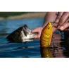 Poisson nageur XORUS Dango 120 SR