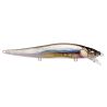 MEGABASS Vision 110 SR hard bait