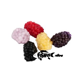 Leurre souple FISHUP Berry / Mûre