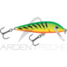 Pesciolino RAPALA Countdown 09