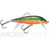 Pesciolino RAPALA Countdown 05