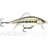 Pesce nuotatore RAPALA Countdown Elite 55