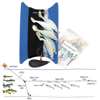 Boat trolling shad FLASHMER