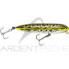 Poisson nageur HEDDON Zara puppy spook