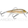 Pesciolino RAPALA Countdown 09