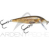 Pesciolino RAPALA Countdown 05