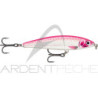 Poisson nageur RAPALA X Rap magnum prey 10