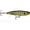 Surface lure RAPALA Precision xtreme pencil 107