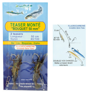 Teasers montati FLASHMER