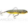 Heddon Super Spook JR Mini - un Artificiali di superficie temibile - Ardent Tecniche di pesca