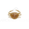 Soft lure BERKLEY Gulp! saltwater peeler crab 2