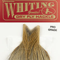 Whiting Pro Grade Necks